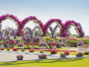 Miracle Garden Dubai